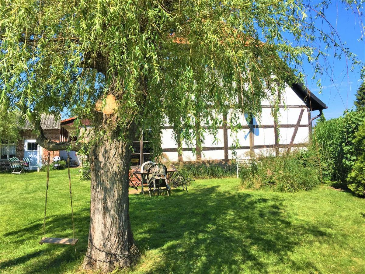 Fischerhaus Godewind 60 Qm Altwarp Esterno foto