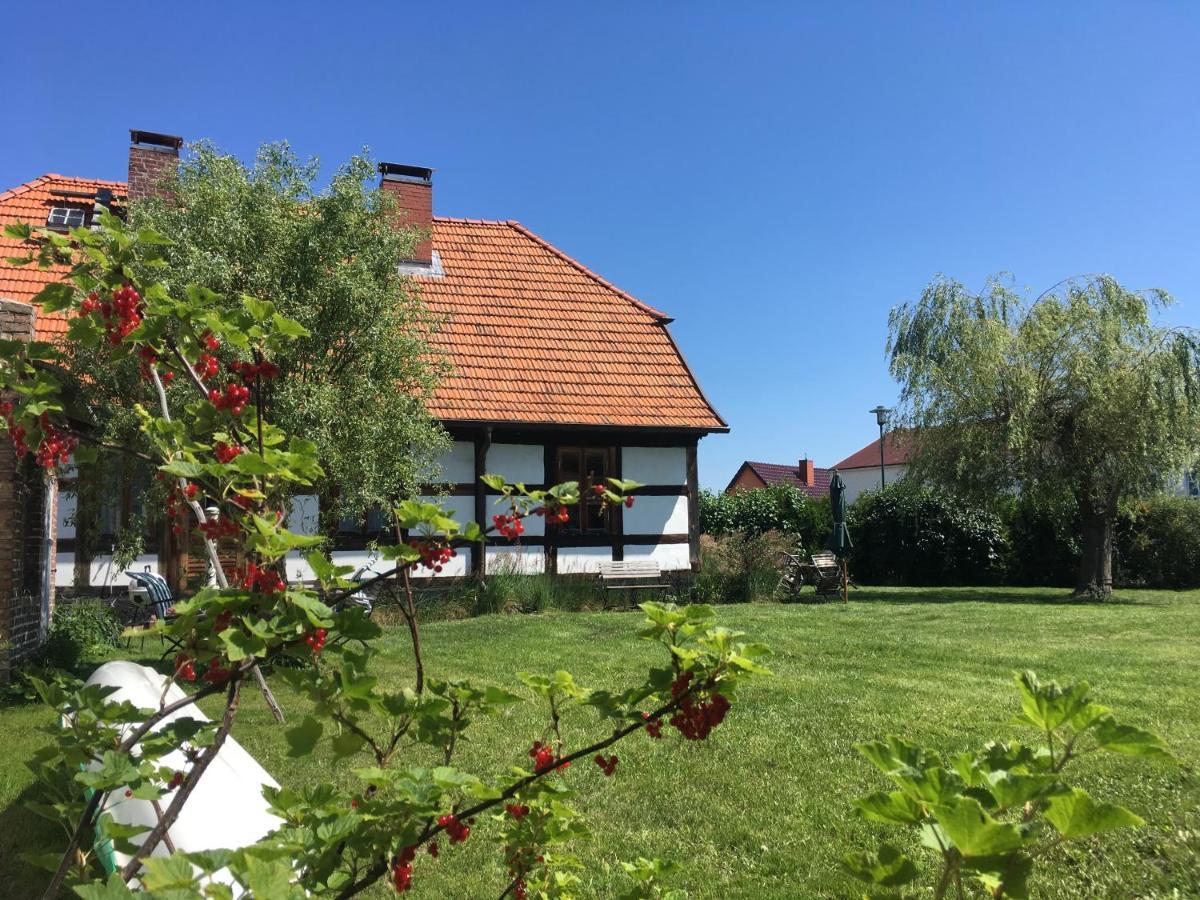 Fischerhaus Godewind 60 Qm Altwarp Esterno foto